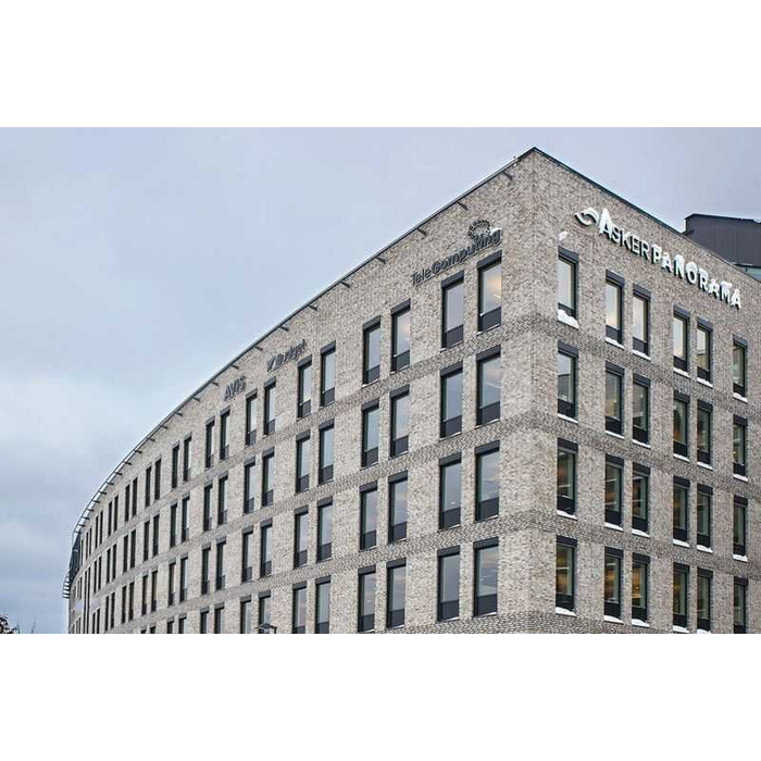 Кирпич облицовочный Randers Tegl Unika RT546, 228х108х54 мм фото 3