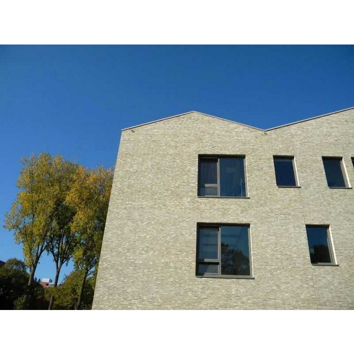 Кирпич Terca Brons Rustiek Marziale облицовочный полнотелый, 215х100х65 мм фото 4