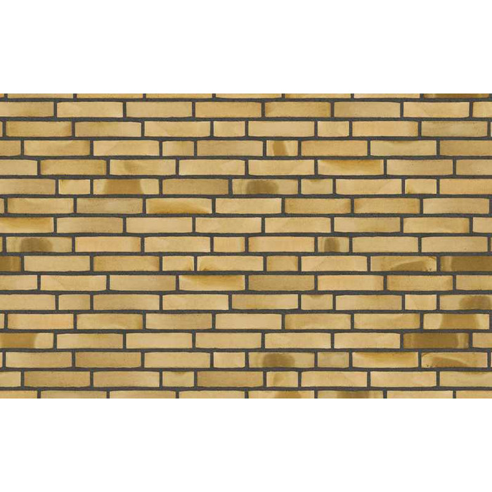 Кирпич облицовочный Randers Tegl Unika RT532, 228х108х54 мм