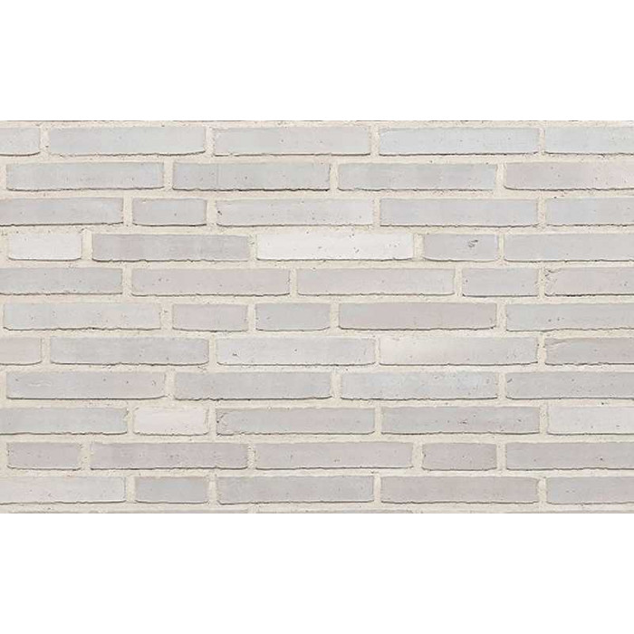 Кирпич облицовочный Randers Tegl Unika RT563, 228х108х40 мм