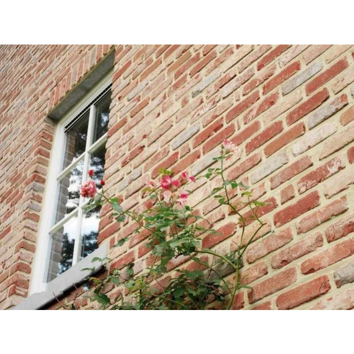 Кирпич облицовочный Terca Belle Epoque de Liege, 215х102х65 мм фото 9