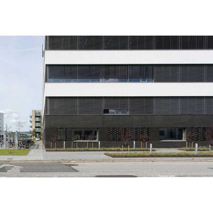 Кирпич облицовочный Randers Tegl Unika RT548, 228х108х54 мм фото 8