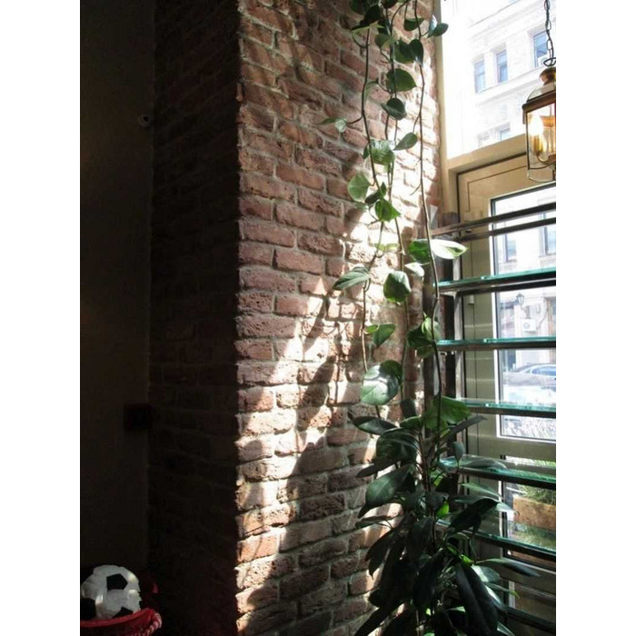 Кирпич облицовочный Terca Belle Epoque de Namur, 215х102х65 мм фото 7