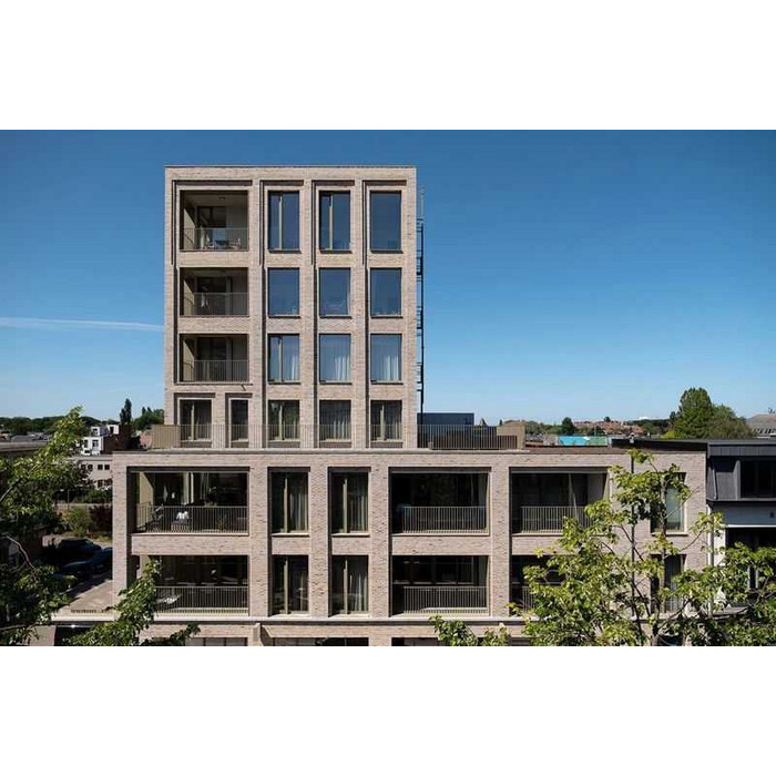 Кирпич облицовочный Randers Tegl Unika RT547, 228х108х54 мм фото 10