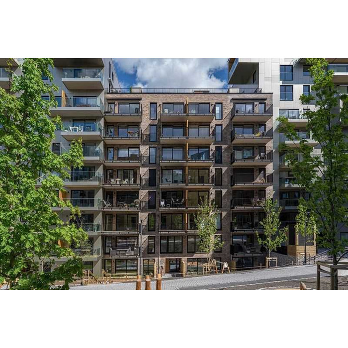 Кирпич облицовочный Randers Tegl Unika RT531, 228х108х54 мм фото 10