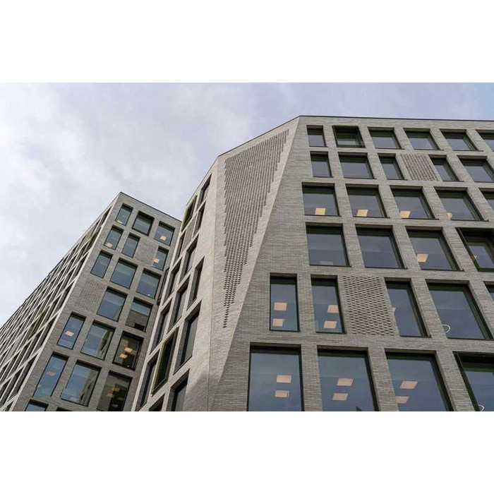 Кирпич облицовочный Randers Tegl Unika RT554, 228х108х54 мм фото 10