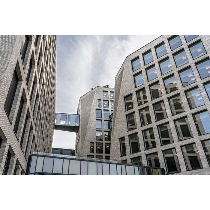 Кирпич облицовочный Randers Tegl Unika RT554, 228х108х54 мм фото 3