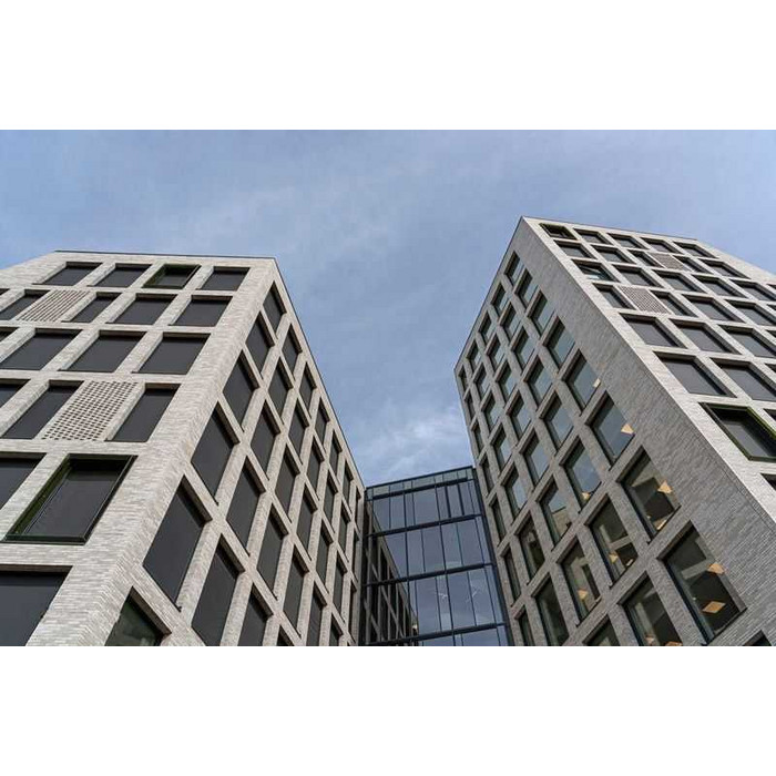 Кирпич облицовочный Randers Tegl Unika RT554, 228х108х54 мм фото 6