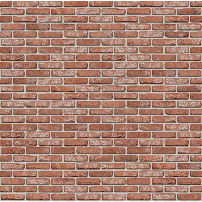 Кирпич S.Anselmo Antic Line VRWA, Selmo, 250х60х55 мм фото 2