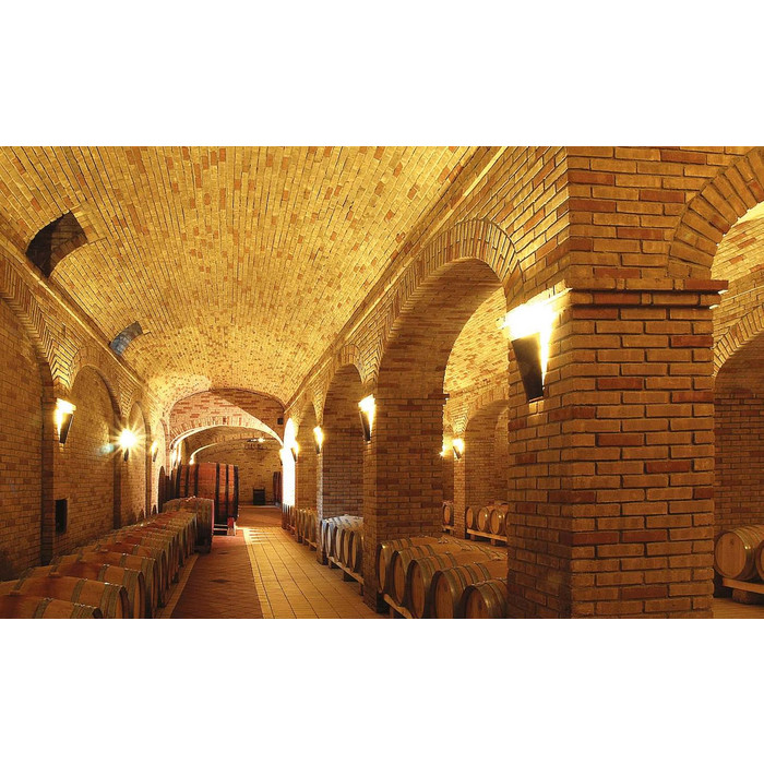 Кирпич S.Anselmo Custom blend AD, Selmo, 240х55х70 мм фото 6