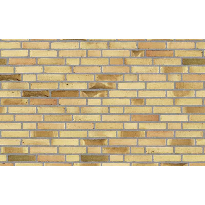 Кирпич облицовочный Randers Tegl Fusion RT573, 228х108х54 мм