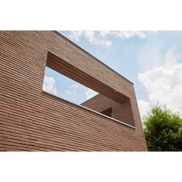 Облицовочный кирпич Terca Tobago Wasserstrich Special Rood, 495х100х38 мм фото 6