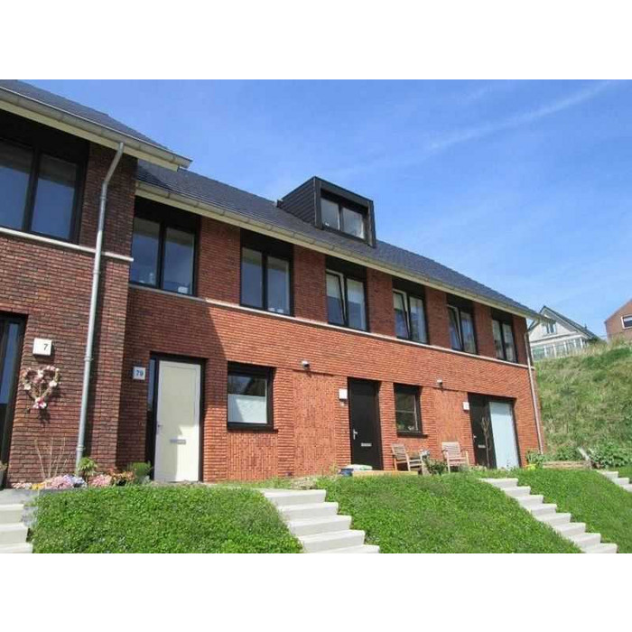 Кирпич облицовочный Terca Jade, 210х100х50 мм фото 9