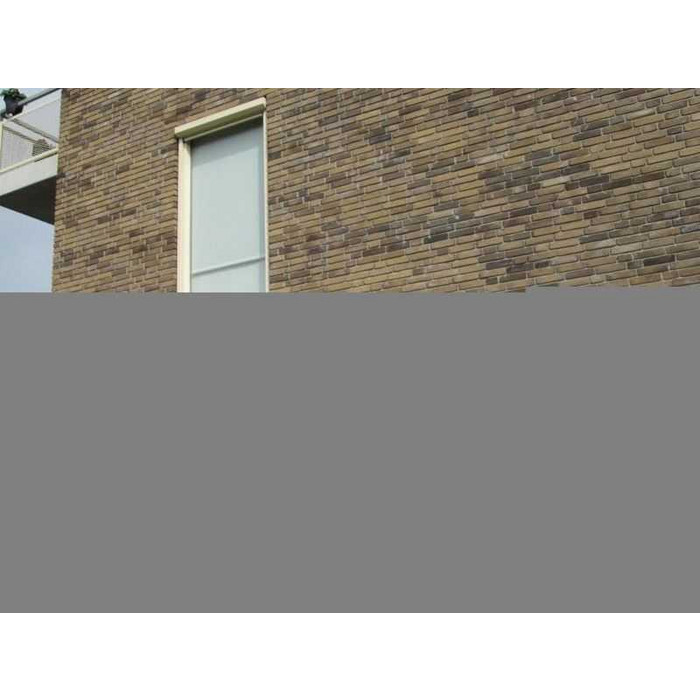 Кирпич облицовочный Terca Hoornbloem, 210х100х50 мм фото 4