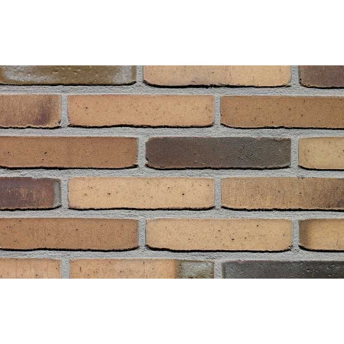 Кирпич облицовочный Terca Hoornbloem, 210х100х50 мм