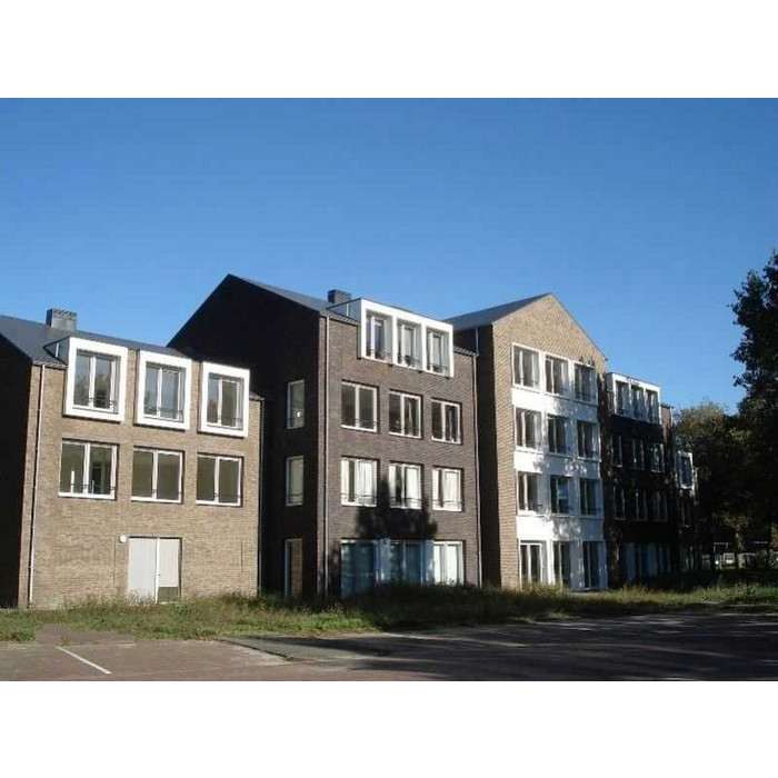 Кирпич облицовочный Terca Hoornbloem, 210х100х50 мм фото 6