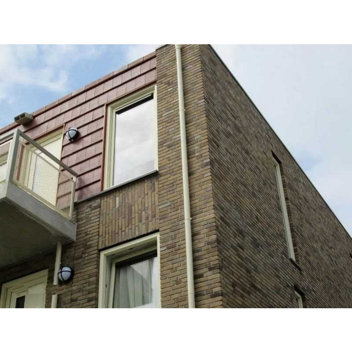 Кирпич облицовочный Terca Hoornbloem, 210х100х50 мм фото 3