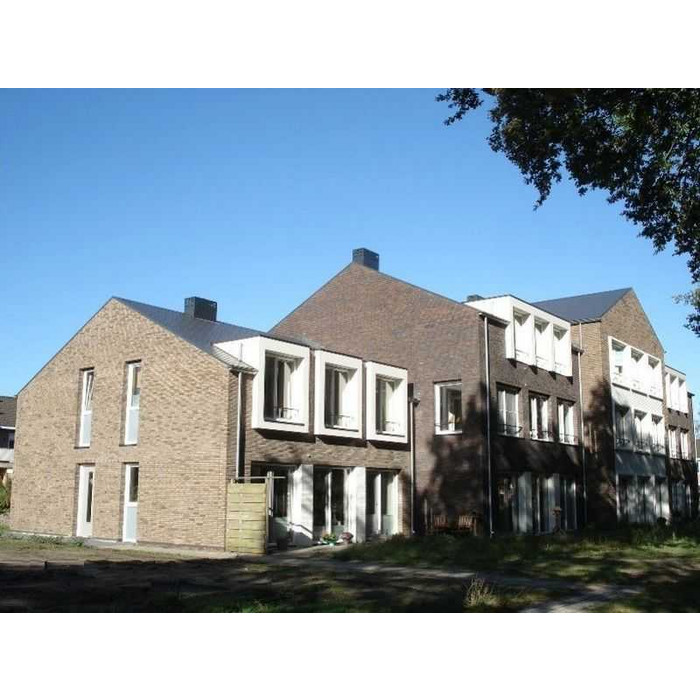 Кирпич облицовочный Terca Hoornbloem, 210х100х50 мм фото 8