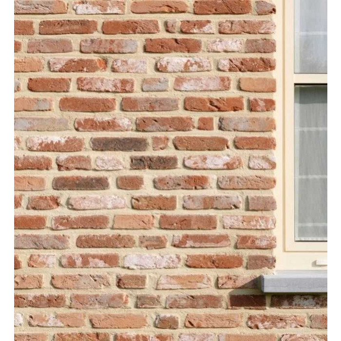 Кирпич облицовочный Terca Oud Kempisch, 215х102х65 мм фото 6