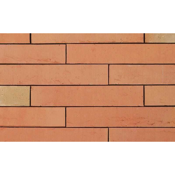 Кирпич облицовочный Terca Linnaeus Betula, 288х88х48 мм фото 6