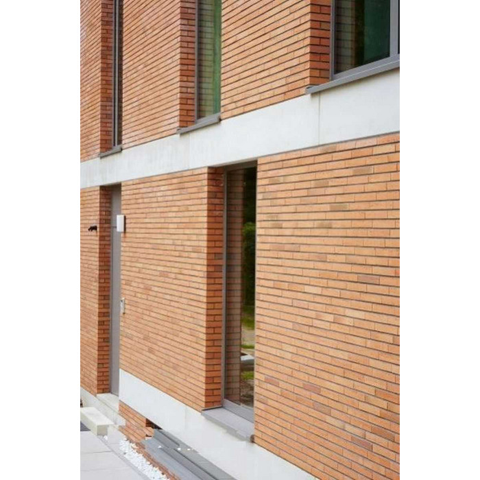 Кирпич облицовочный Terca Linnaeus Betula, 288х88х48 мм фото 9