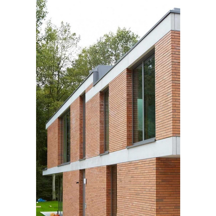 Кирпич облицовочный Terca Linnaeus Betula, 288х88х48 мм фото 7