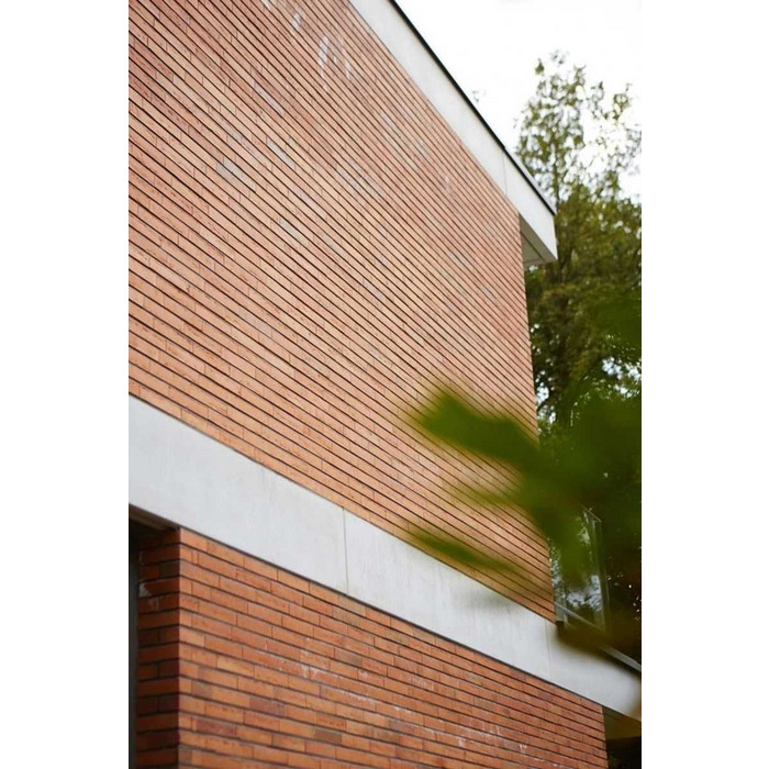 Кирпич облицовочный Terca Linnaeus Betula, 288х88х48 мм фото 8