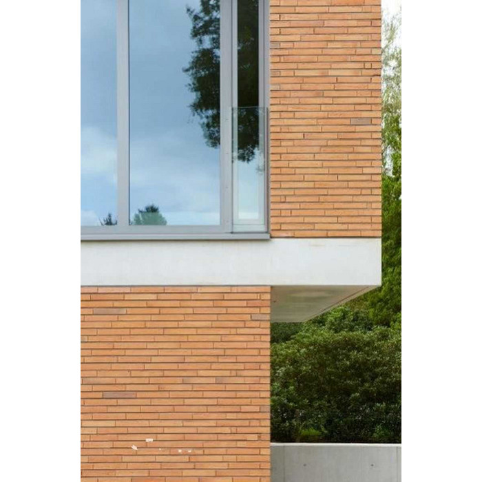 Кирпич облицовочный Terca Linnaeus Betula, 288х88х48 мм фото 10