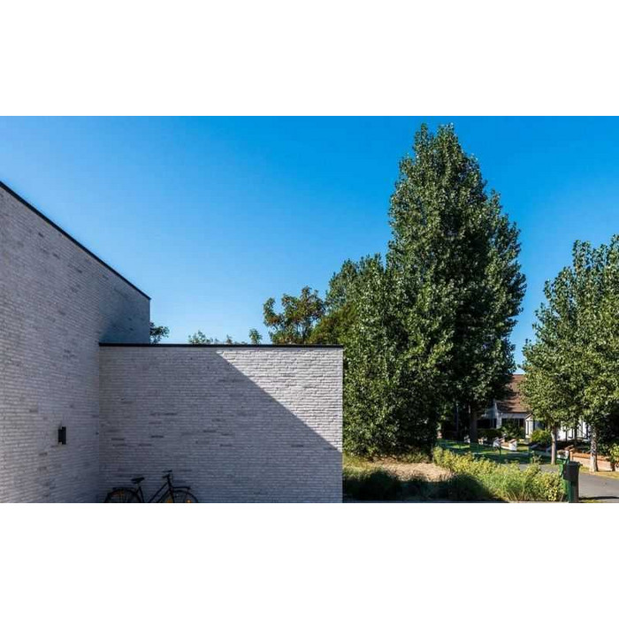 Кирпич облицовочный Terca Imperium Albius, 238х90х40 мм фото 10