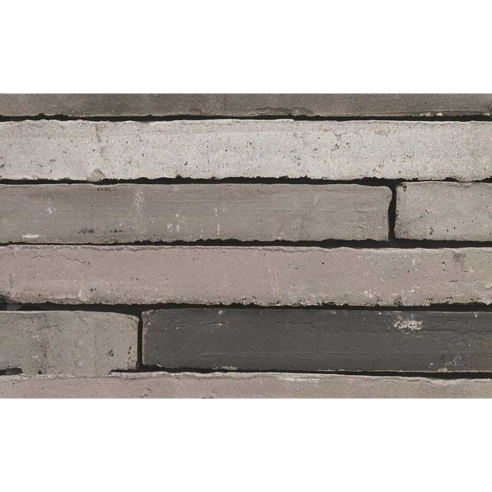 Кирпич облицовочный Terca Wasserstrich Special Kwartsgrijs (Arctic Gedampft), 510х100х40 мм фото 2