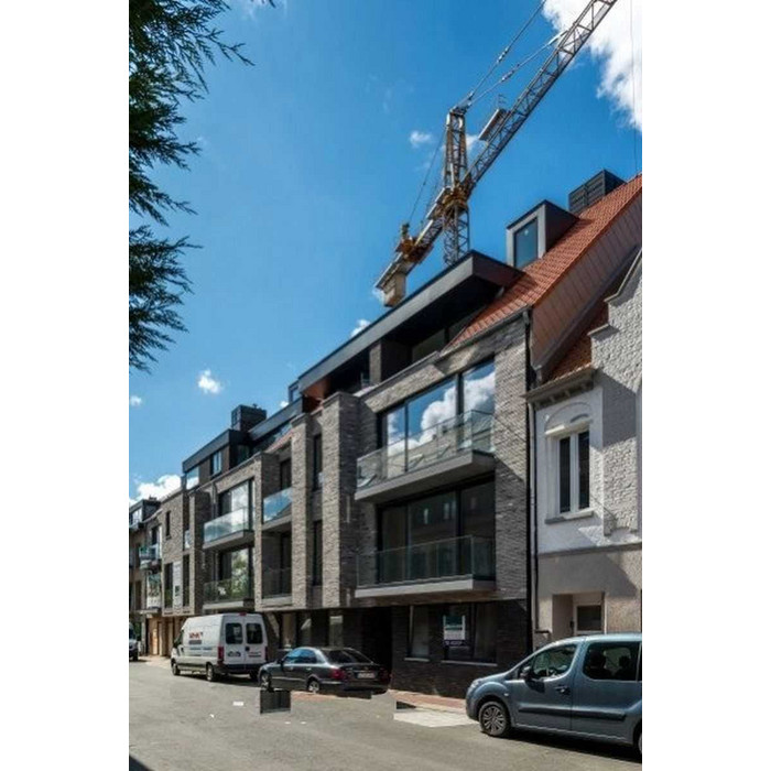 Кирпич облицовочный Terca Wasserstrich Special Kwartsgrijs (Arctic Gedampft), 510х100х40 мм фото 6