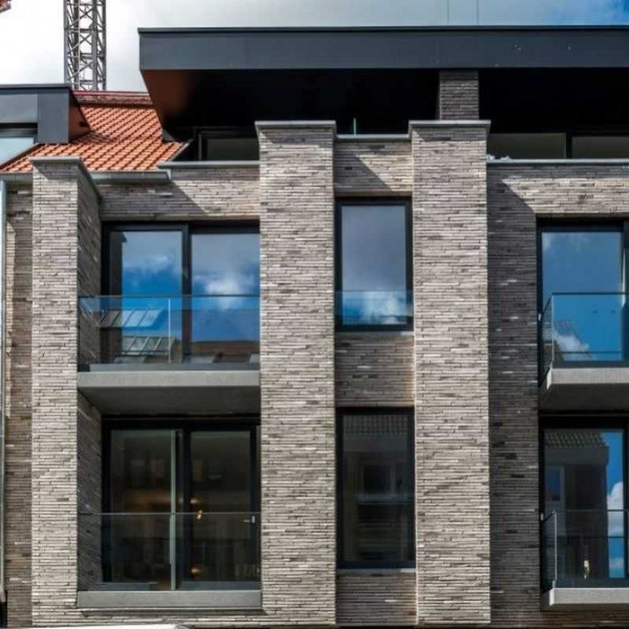 Кирпич облицовочный Terca Wasserstrich Special Kwartsgrijs (Arctic Gedampft), 510х100х40 мм фото 4