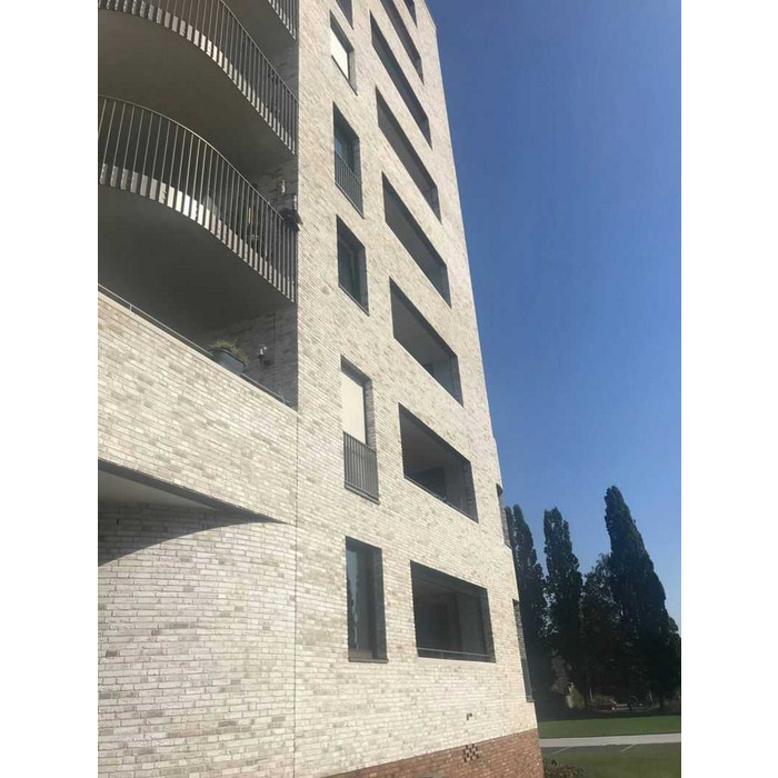 Кирпич облицовочный ENGELS Carthago Carrera, 214х45-50х66 мм фото 3