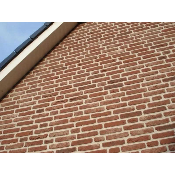 Кирпич облицовочный Terca Oud Ravels, 215х102х65 мм фото 9