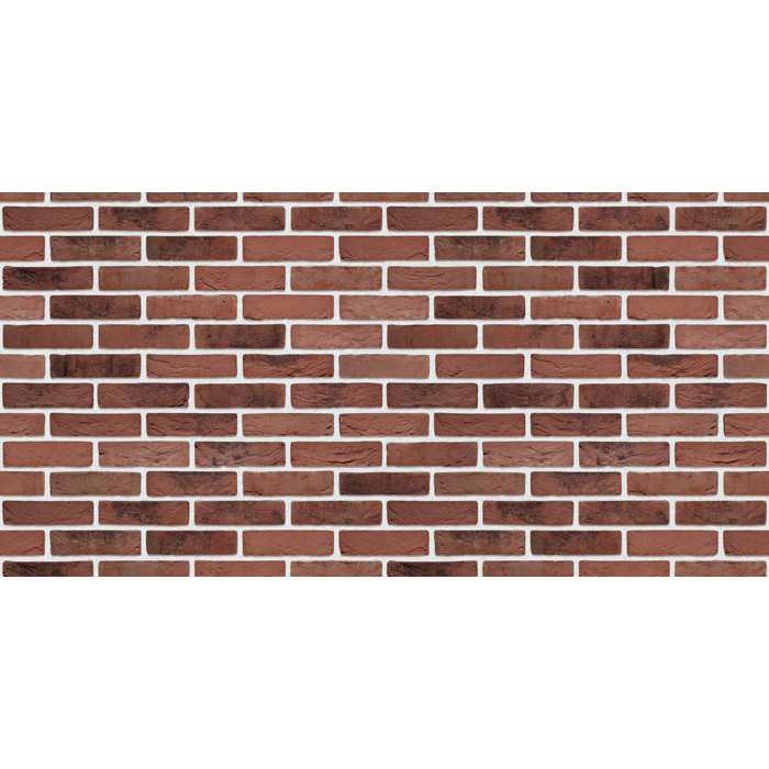 Кирпич S.Anselmo Superior Line Montenapoleone Bruciato, Selmo, 250х120х55 мм фото 2