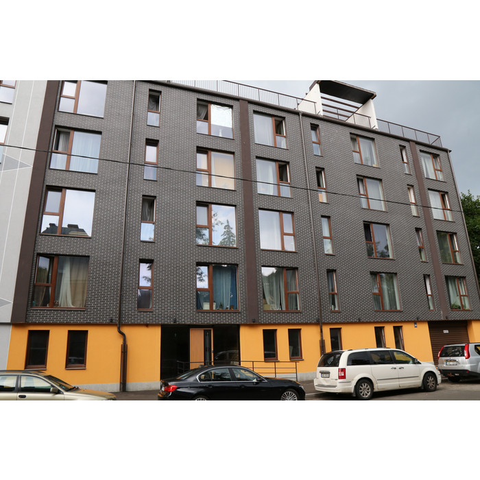 Кирпич S.Anselmo Smoked LOFB+VTB+MHB, Selmo, 240х55х70 мм фото 2