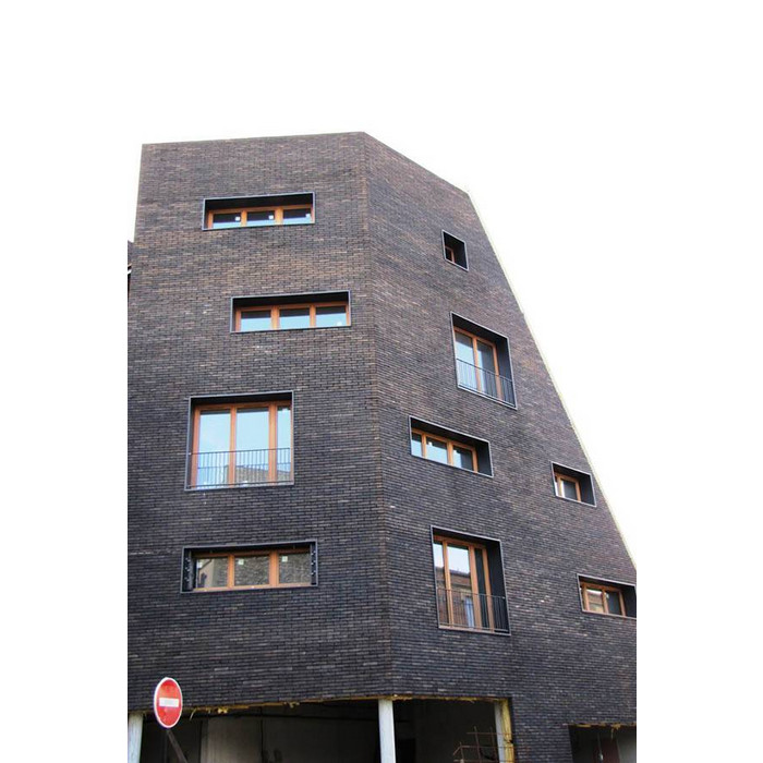 Кирпич S.Anselmo Smoked LOFB+VTB, Selmo, 240х115х70 мм фото 3