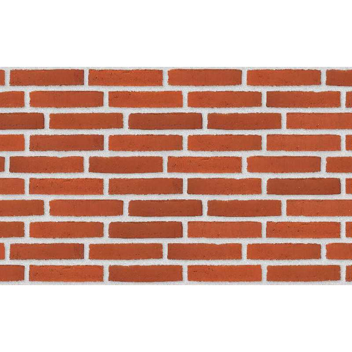 Кирпич облицовочный Randers Tegl Classica RT307, 228х50х54 мм