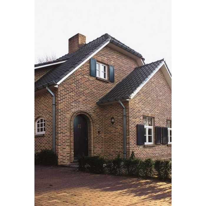 Кирпич облицовочный Terca Topaas, 215х102х65 мм фото 2