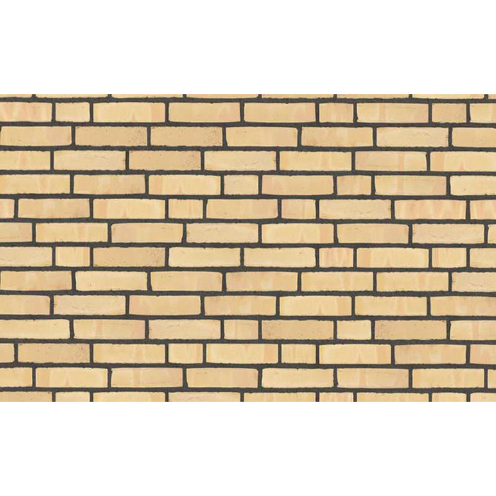 Кирпич облицовочный Randers Tegl Classica RT215, 250х120х65 мм