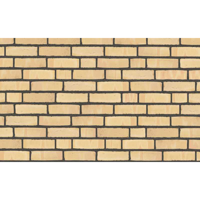 Кирпич облицовочный Randers Tegl Classica RT215, 215х50х65 мм