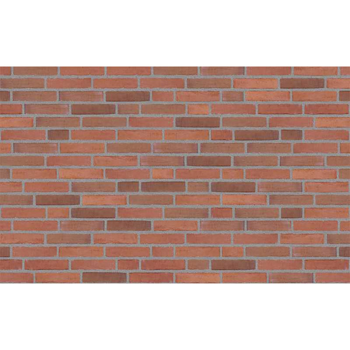 Кирпич облицовочный Randers Tegl Classica RT448, 228х50х54 мм
