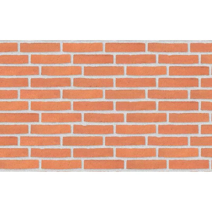 Кирпич облицовочный Randers Tegl Classica RT435, 228х50х54 мм