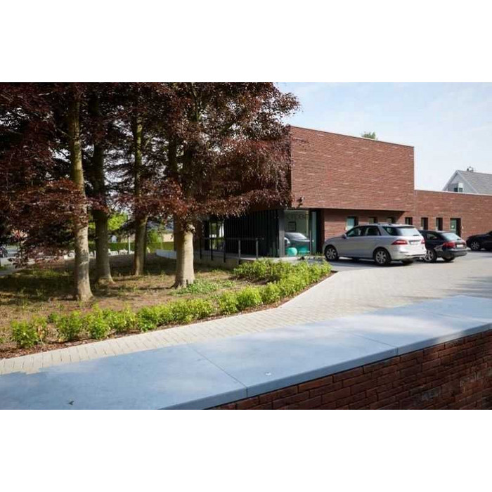 Кирпич облицовочный Terca Blauw-Rood Genuanceerd, 215х100х65 мм фото 2