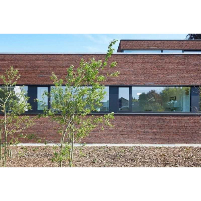 Кирпич облицовочный Terca Blauw-Rood Genuanceerd, 215х100х65 мм фото 9