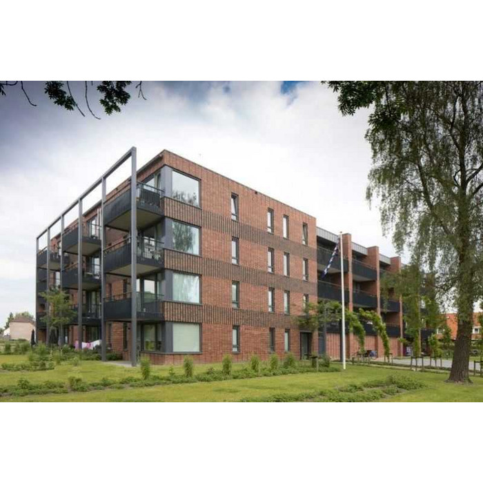 Кирпич облицовочный Terca Preston Gesinterd 210х100х50 мм фото 3