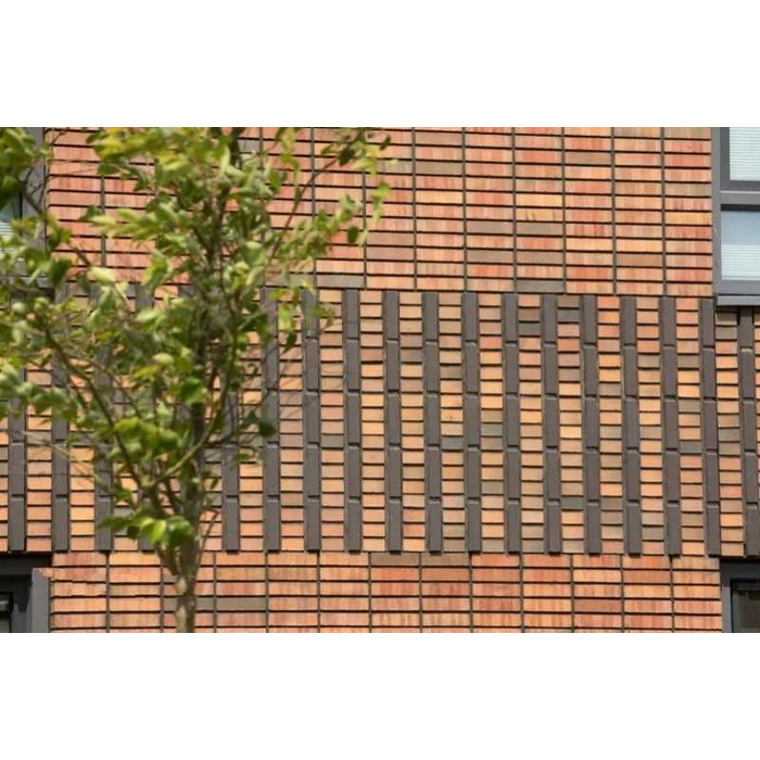 Кирпич облицовочный Terca Preston Gesinterd 210х100х50 мм фото 6