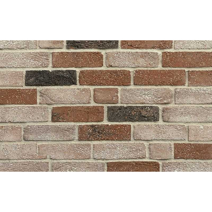 Кирпич облицовочный Донские зори Любаново, 215х50х65 мм фото 2