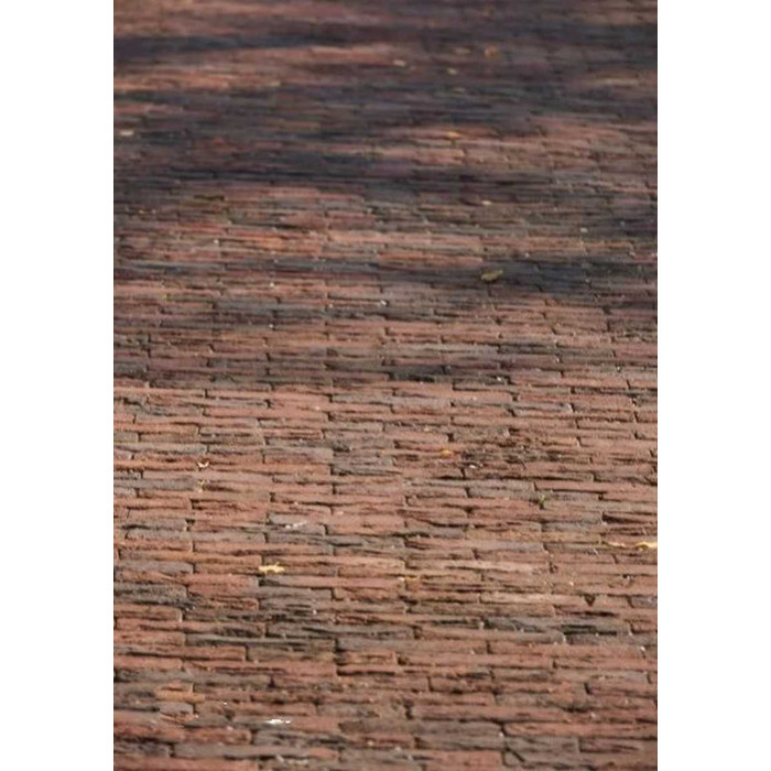 Кирпич облицовочный Terca Althea Garden Stone, 208х98х48 мм фото 7