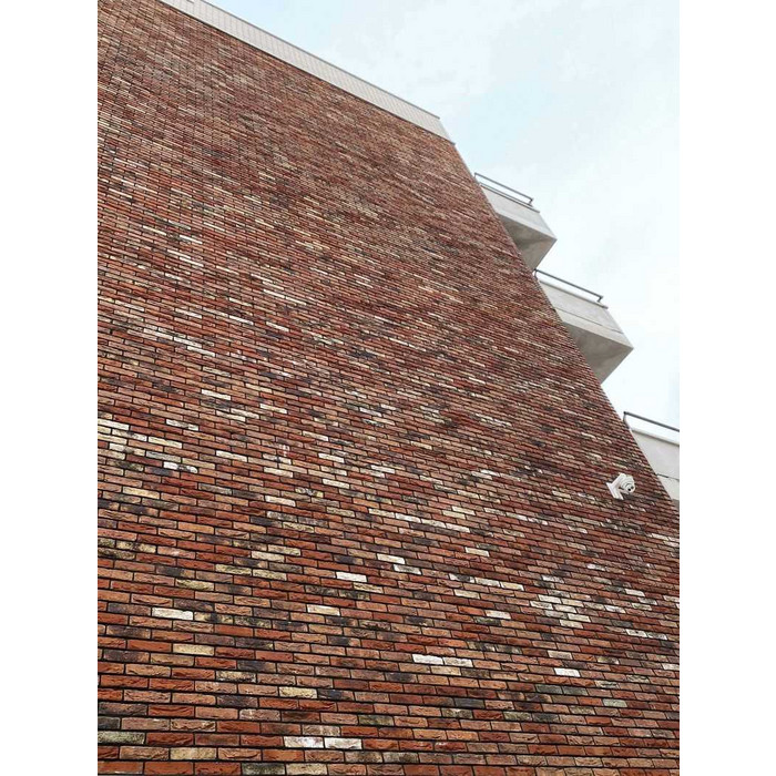 Кирпич облицовочный ENGELS Limburgs oranje bont, 215х45-50х66 мм фото 10